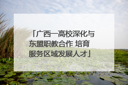 广西一高校深化与东盟职教合作 培育服务区域发展人才