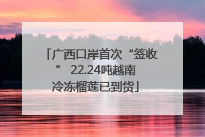 广西口岸首次“签收” 22.24吨越南冷冻榴莲已到货