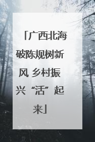 广西北海破陈规树新风 乡村振兴“活”起来