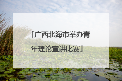 广西北海市举办青年理论宣讲比赛