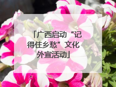广西启动“记得住乡愁”文化外宣活动