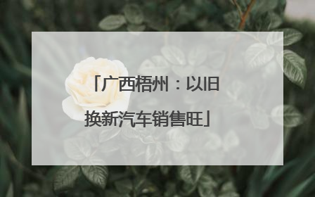 广西梧州：以旧换新汽车销售旺