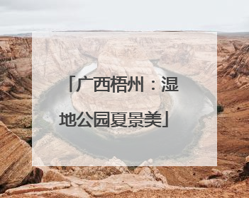 广西梧州：湿地公园夏景美