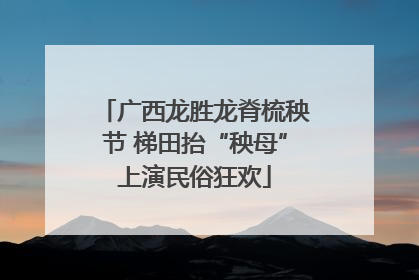 广西龙胜龙脊梳秧节 梯田抬“秧母”上演民俗狂欢