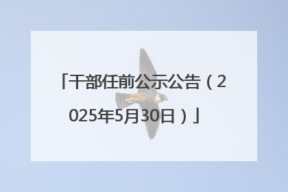 干部任前公示公告（2025年5月30日）