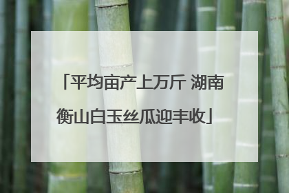 平均亩产上万斤 湖南衡山白玉丝瓜迎丰收