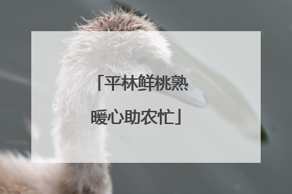 平林鲜桃熟 暖心助农忙