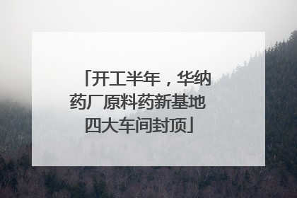 开工半年，华纳药厂原料药新基地四大车间封顶
