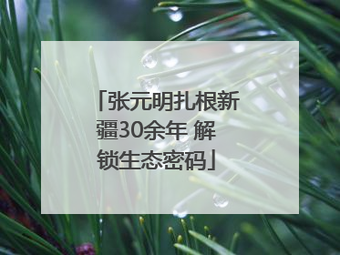 张元明扎根新疆30余年 解锁生态密码