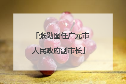 张勋图任广元市人民政府副市长