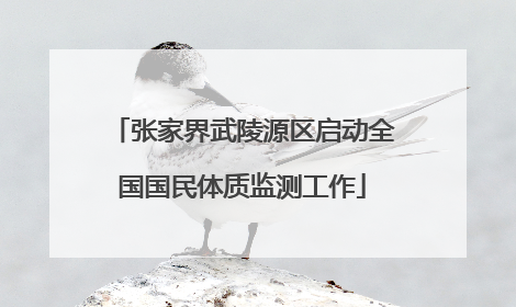 张家界武陵源区启动全国国民体质监测工作