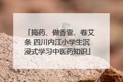 捣药、做香囊、卷艾条 四川内江小学生沉浸式学习中医药知识