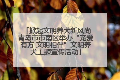 掀起文明养犬新风尚 青岛市市南区举办“宠爱有方 文明相伴”文明养犬主题宣传活动