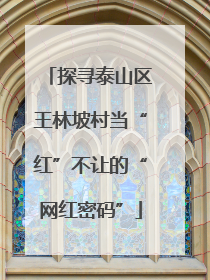 探寻泰山区王林坡村当“红”不让的“网红密码”