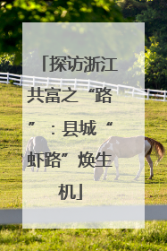 探访浙江共富之“路”：县城“虾路”焕生机