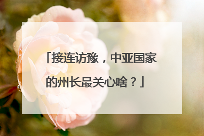 接连访豫，中亚国家的州长最关心啥？