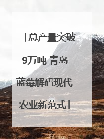 总产量突破9万吨 青岛蓝莓解码现代农业新范式