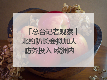 总台记者观察丨北约防长会拟加大防务投入 欧洲内部分歧难掩