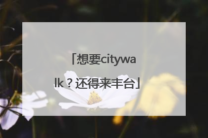 想要citywalk？还得来丰台