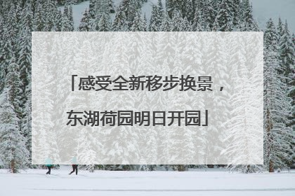 感受全新移步换景，东湖荷园明日开园