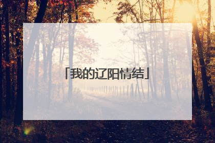 我的辽阳情结
