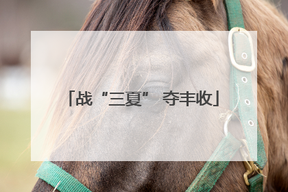 战“三夏” 夺丰收
