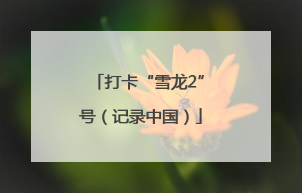 打卡“雪龙2”号（记录中国）