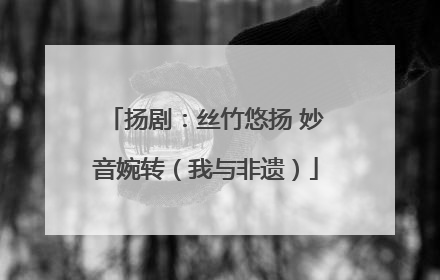 扬剧：丝竹悠扬 妙音婉转（我与非遗）