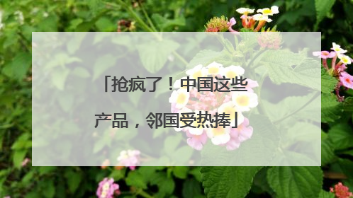 抢疯了！中国这些产品，邻国受热捧