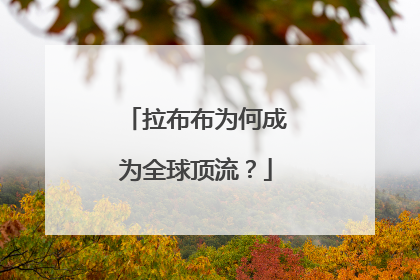 拉布布为何成为全球顶流？