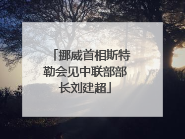 挪威首相斯特勒会见中联部部长刘建超