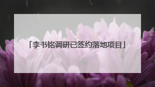 李书铭调研已签约落地项目