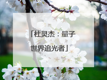 杜灵杰：量子世界追光者