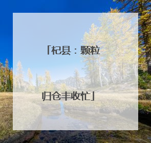 杞县：颗粒归仓丰收忙