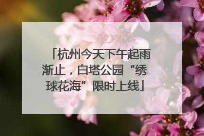 杭州今天下午起雨渐止，白塔公园“绣球花海”限时上线