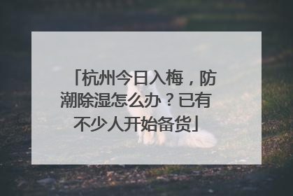 杭州今日入梅，防潮除湿怎么办？已有不少人开始备货