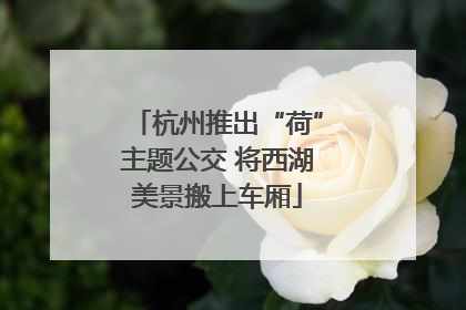 杭州推出“荷”主题公交 将西湖美景搬上车厢