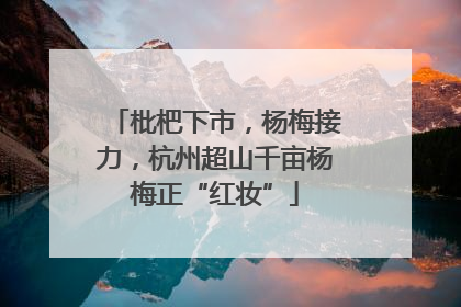 枇杷下市，杨梅接力，杭州超山千亩杨梅正“红妆”