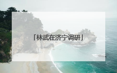 林武在济宁调研