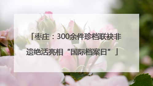 枣庄：300余件珍档联袂非遗绝活亮相“国际档案日”