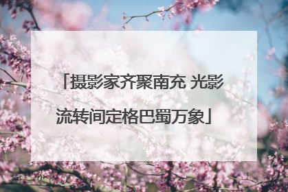 摄影家齐聚南充 光影流转间定格巴蜀万象
