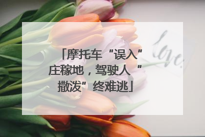 摩托车“误入”庄稼地，驾驶人“撒泼”终难逃