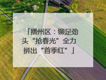 播州区：铆足劲头“抢春光”全力拼出“首季红”