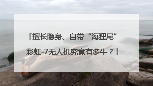 擅长隐身、自带“海狸尾” 彩虹-7无人机究竟有多牛？