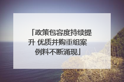 政策包容度持续提升 优质并购重组案例料不断涌现