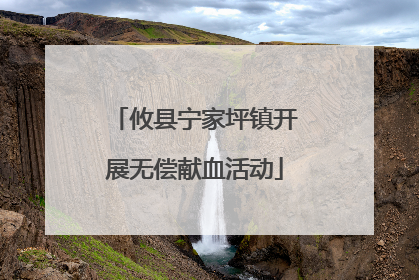 攸县宁家坪镇开展无偿献血活动