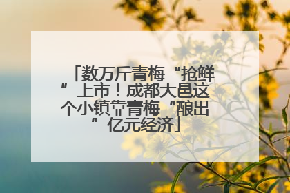 数万斤青梅“抢鲜”上市！成都大邑这个小镇靠青梅“酿出”亿元经济