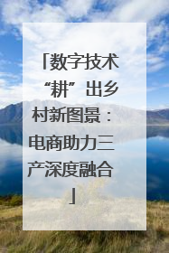 数字技术“耕”出乡村新图景：电商助力三产深度融合