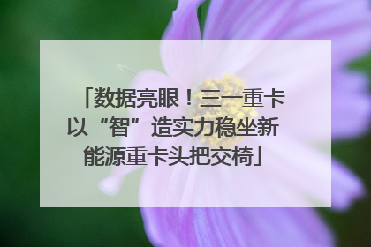 数据亮眼！三一重卡以“智”造实力稳坐新能源重卡头把交椅