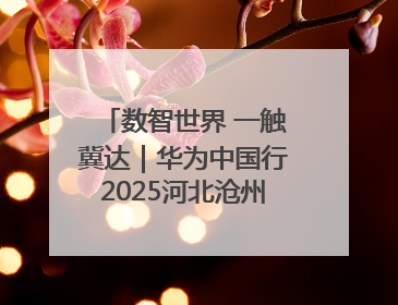 数智世界 一触冀达｜华为中国行2025河北沧州新质生产力峰会成功举办